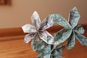Money Flowers {The Reluctant Hippie}